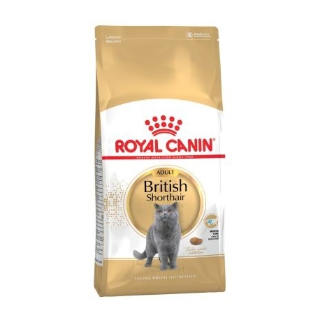 Royal Canin British Shorthair 34 10kg kassitoit