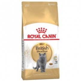 Royal Canin British Shorthair 34 2kg kassitoit