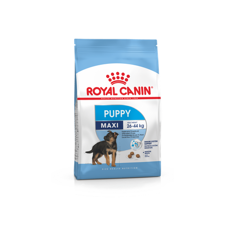 Royal Canin Maxi Puppy 4kg koeratoit