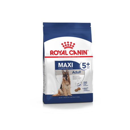Royal Canin Maxi Adult 5+ 4kg koeratoit