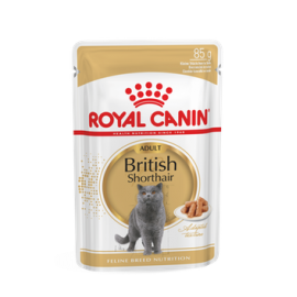 Royal Canin FBN BRITISH SHORTHAIR WET kassitoit 12x85g