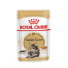 Royal Canin FBN MAINE COON WET kassitoit 12x85g