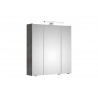 Peegelkapp 945 tumehall, 65x16xH70 cm, LED