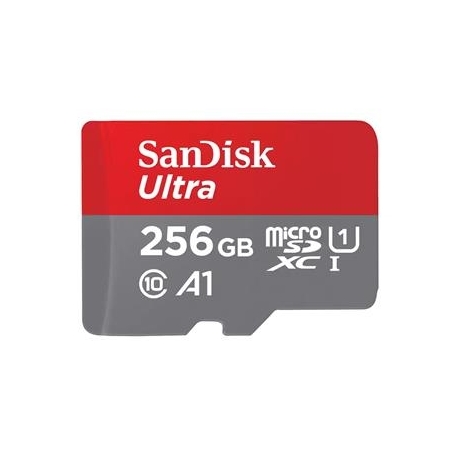 SanDisk Ultra microSDXC, 256 GB, hall - MicroSD mälukaart SD adapteriga