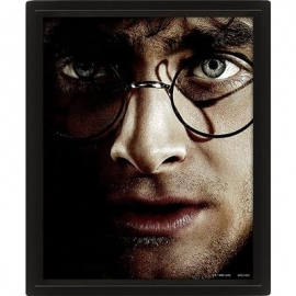 Harry Potter vs Voldemort, 20x25 cm, 3D - Plakat