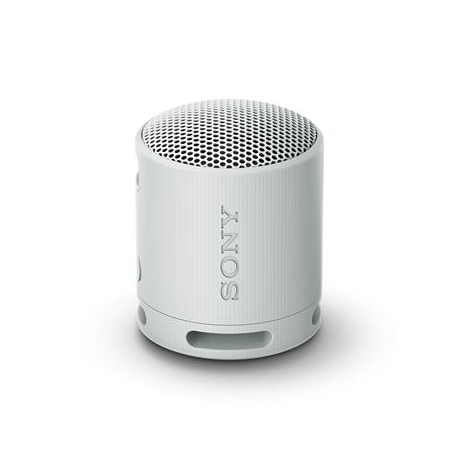 Sony SRS-XB100, helehall - Kaasaskantav juhtmevaba kõlar