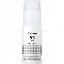 Canon GL-53, hall - Tindipudel