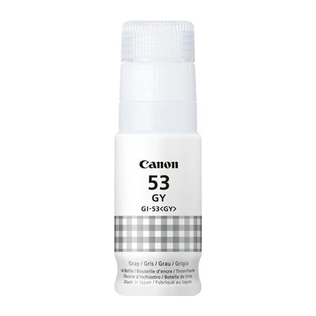Canon GL-53, hall - Tindipudel