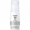 Canon GL-53, hall - Tindipudel
