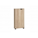 Esikukapp EMMIK tamm, 60x20xH124 cm